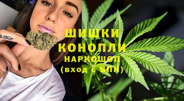 a pvp Аркадак