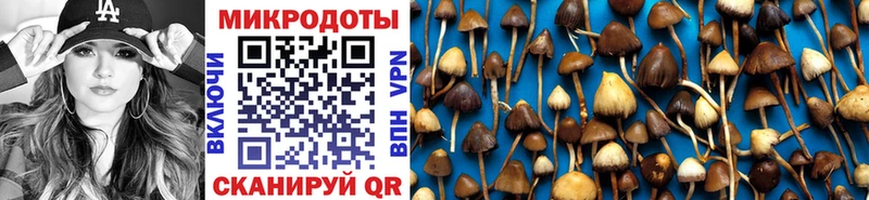 Псилоцибиновые грибы GOLDEN TEACHER  блэк спрут   Павловская 